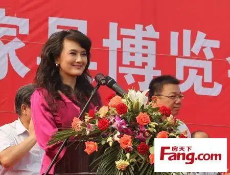 著名主持人于辉女士宣布活动开幕