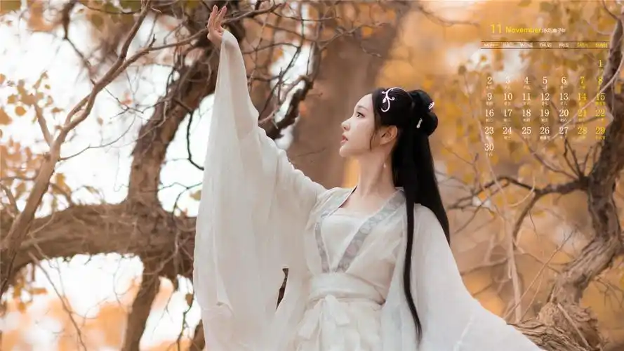 2020年11月白衣古装美女仙气高清日历壁纸