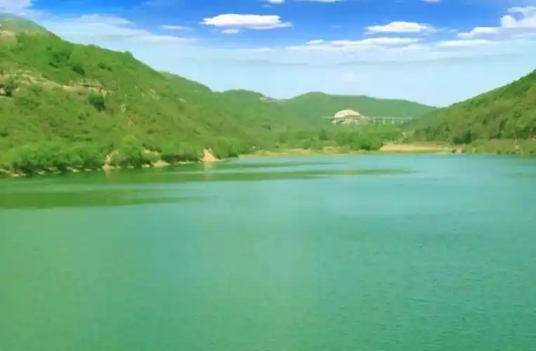 生肖虎:机会是留给有准备的人的,而属虎人的偏财运能够很旺,就是因为