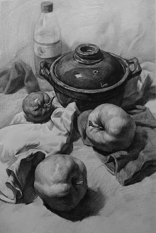 优秀素描静物步骤与范画