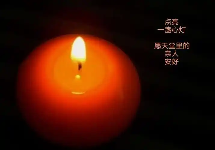 58.祭奠 七绝 五绝 古风 词 沈欣平 原创