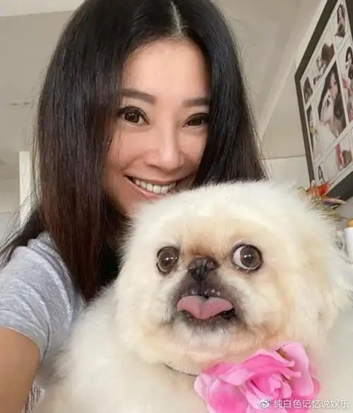 其实,傅明宪很早就沉迷于整容,也曾被曝多次整容,最早能追溯到刚入行