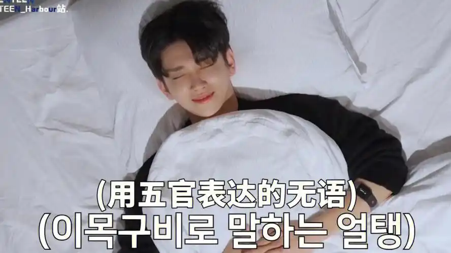 svt表情包洪知秀2