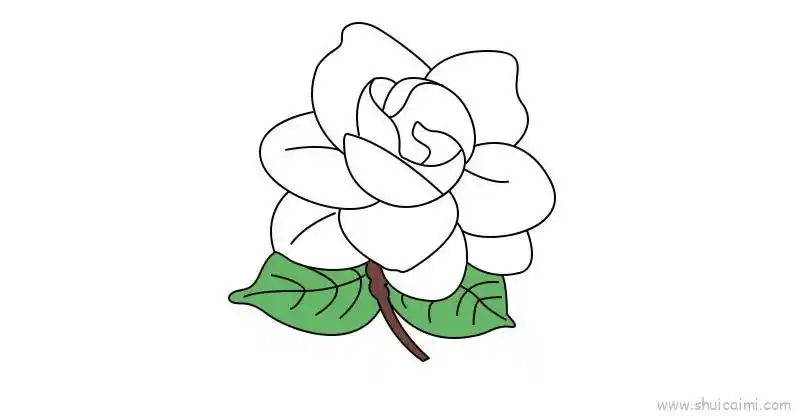 栀子花教程儿童画怎么画栀子花教程简笔画好看