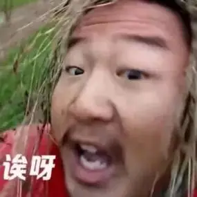 表情包收集狂热分子 关注 giao篇一 #giao哥 #giao #土味表情包 赞