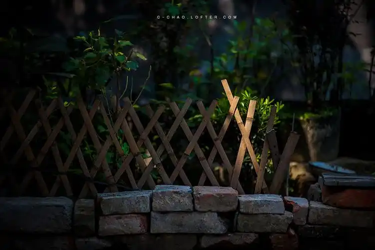 【平凡映像·简单生活】 - 摄影大家坛