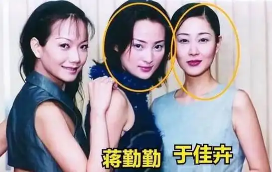 回顾于佳卉当红时候遭闺蜜破坏婚姻43岁离世死因成谜