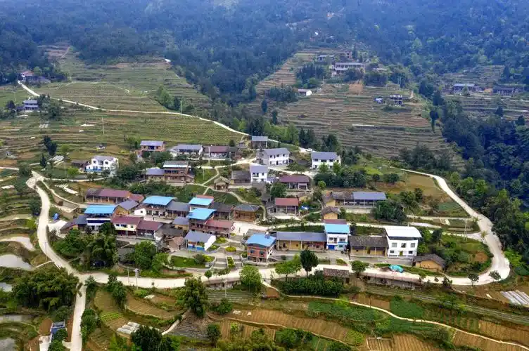 视角丨美丽乡村入画来