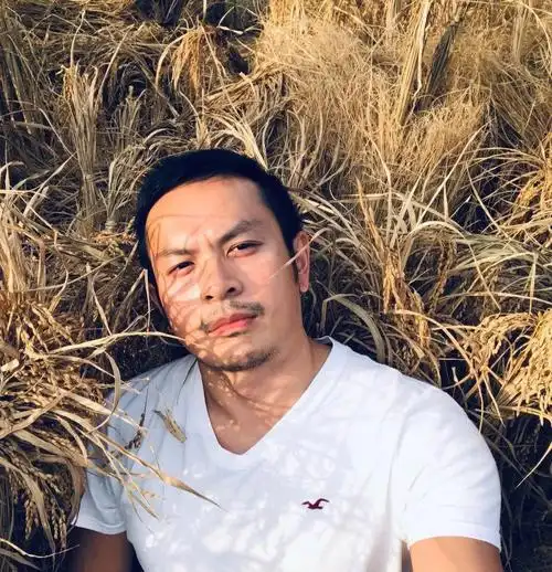 麦穗越成熟饱满头就会弯的越低