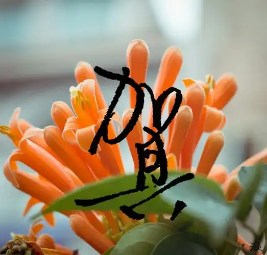 2015年3月21日 15:50   关注  手写 贺 姓氏壁纸 收藏