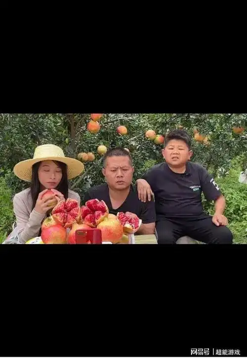 目前各大网红都在寻求新的出路|枫枫|小六|老表|许华升_网易订阅