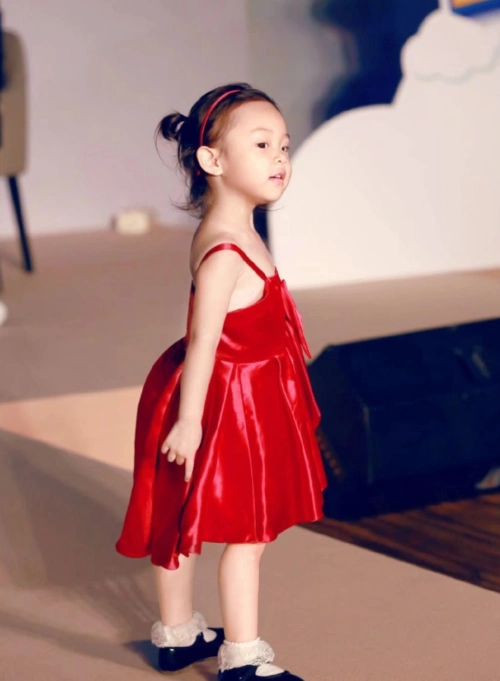 那么接下来我们就来说一下贾乃亮跟李小璐的女儿贾甜馨,对于这个小