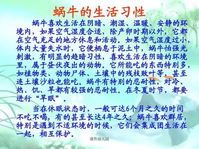 朵朵三班生成课～探秘小蜗牛