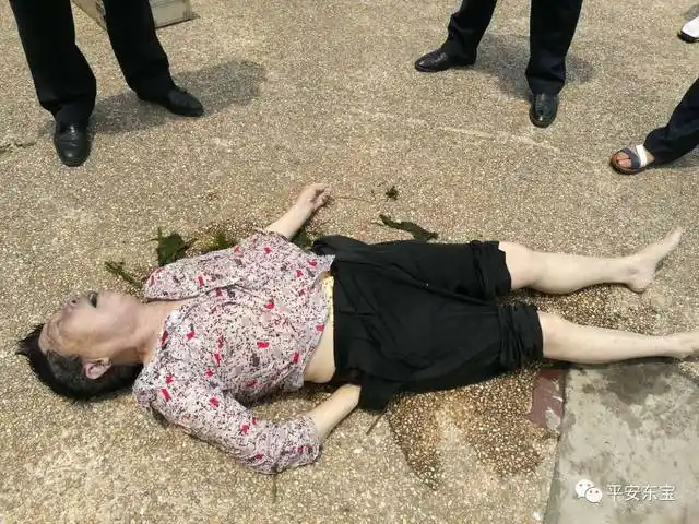 荆门城区天鹅湖边捞起无名女尸,警方盼家属认领!