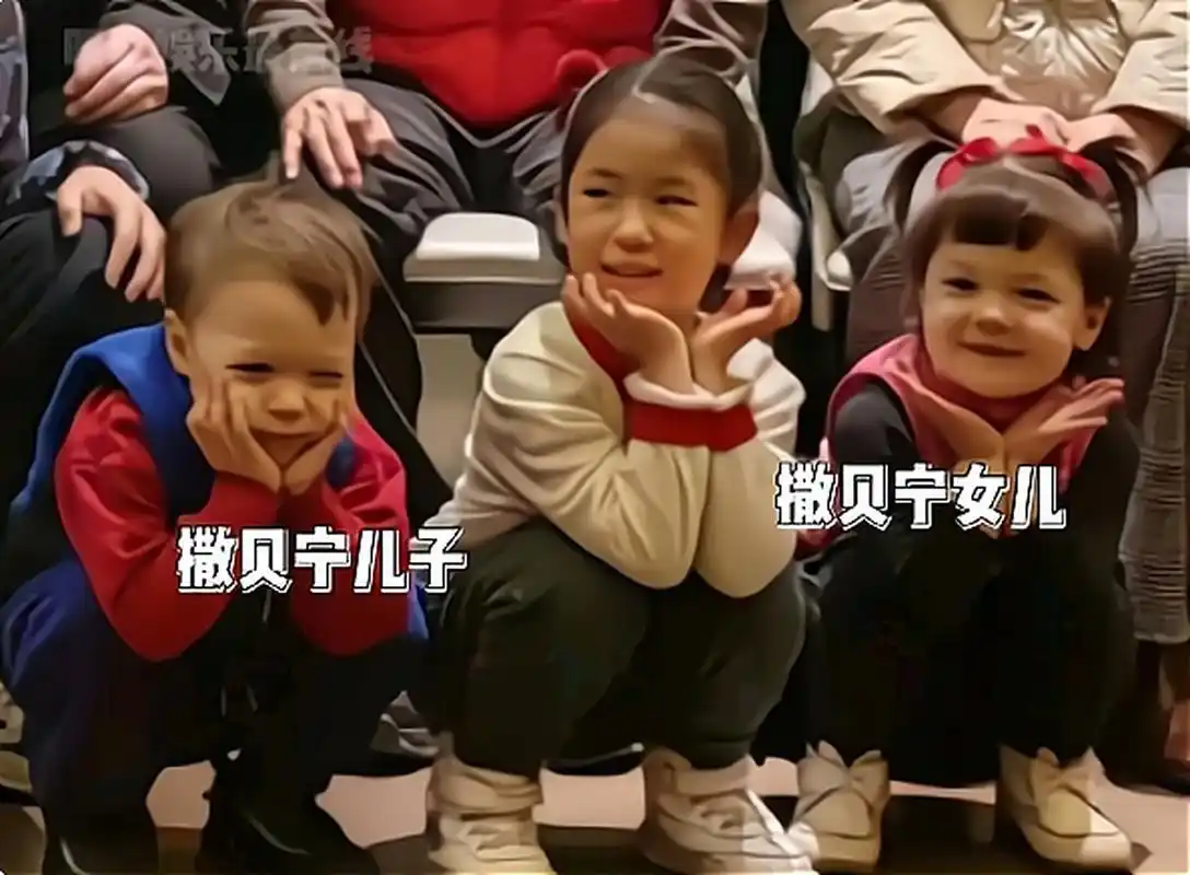 近日撒贝宁全家福中龙凤胎首次露面了.
