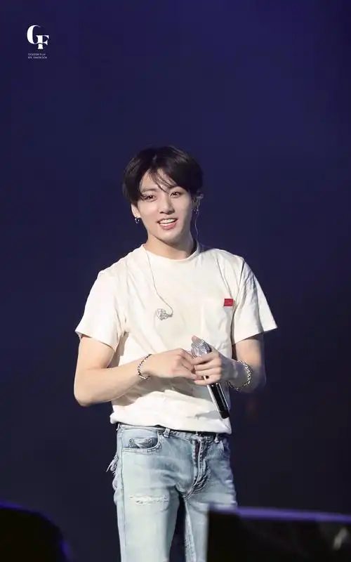 jungkook 田柾国 bts world tour love yourself演唱会 in 新加坡