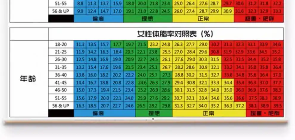 体态评估表挂式体态评估表工作室健身房墙贴瑜伽馆中医养生馆人体体测