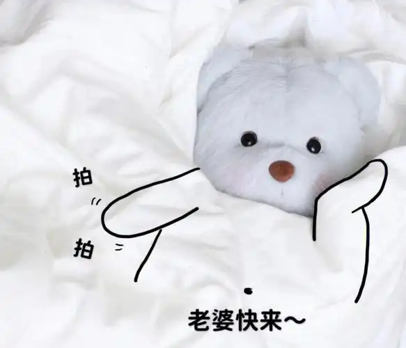 莉娜熊vs瞌睡猫表情包老公老婆系列08