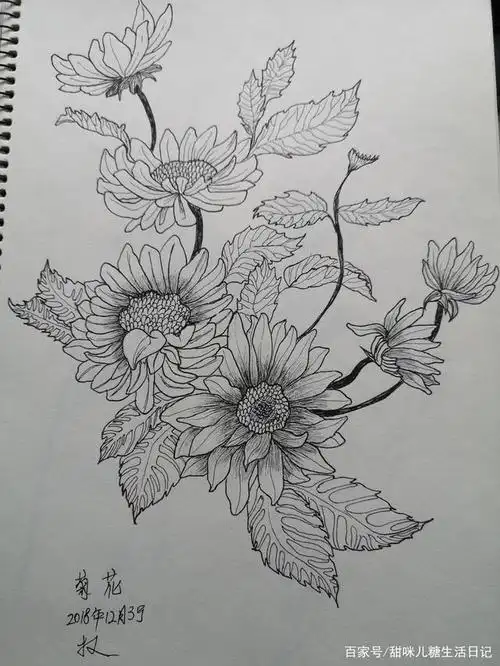 的黑白线描,有原创也有临摹,都是一些比较简单的新手画,适合初学者画