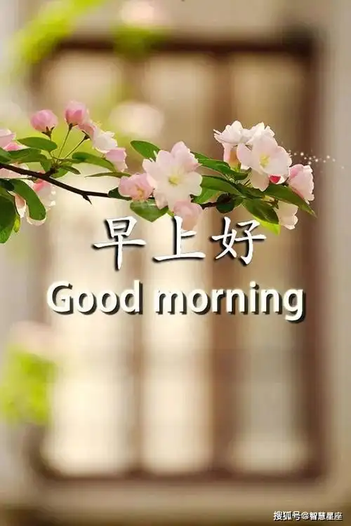 7月26日特别漂亮早上好的祝福语图片表情 早上好的问候语优美句子2021