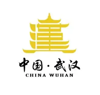 武汉城市logo设计方案