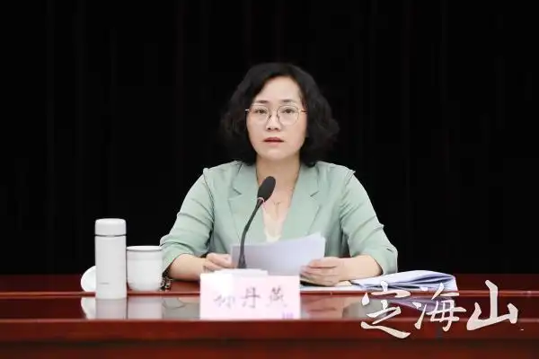 孙丹燕在定海高质量发展建设共同富裕示范区港城标杆工作推进会暨领导