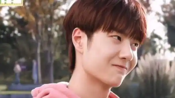 内娱初恋脸明星##王一博