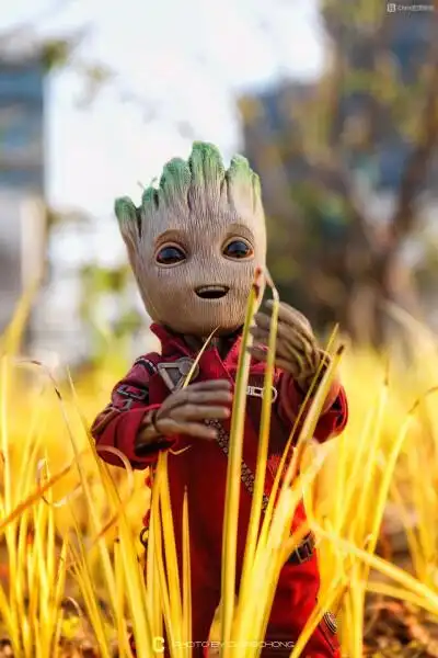 格鲁特软陶 - 堆糖,美图壁纸兴趣社区