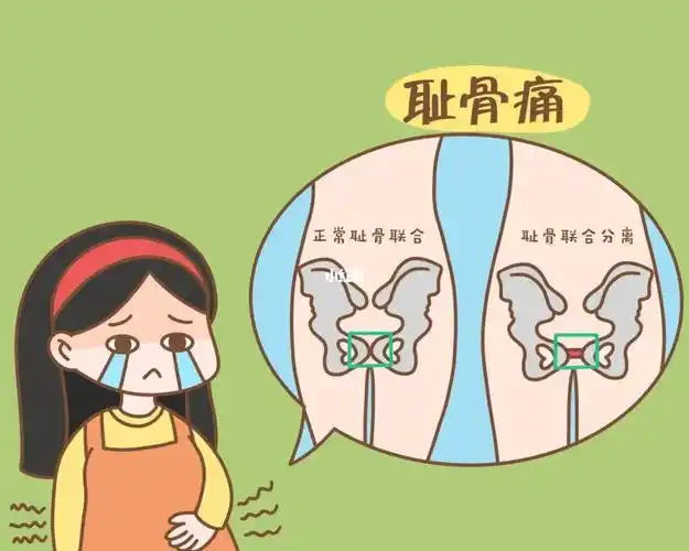 37周耻骨疼的受不了