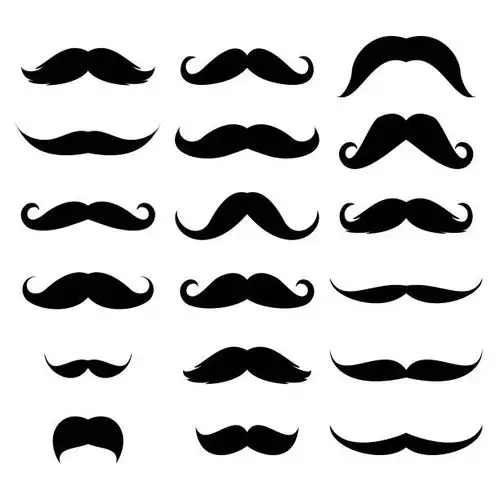 小胡子,矢量,图标集,绘画插图,络腮胡子矢量图素材_id:316363483