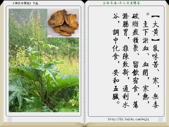 神农本草经图册