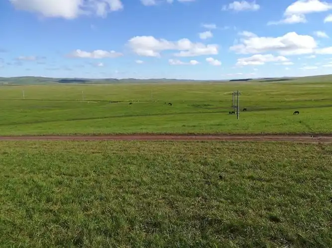 呼伦贝尔大草原