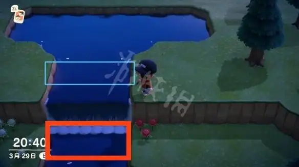 集合啦动物森友会金鳟怎么钓动物森友会金鳟钓法介绍