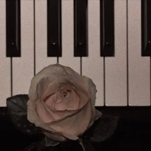 网易云热评文案短句伤感一句话:爱没用,多爱都没用