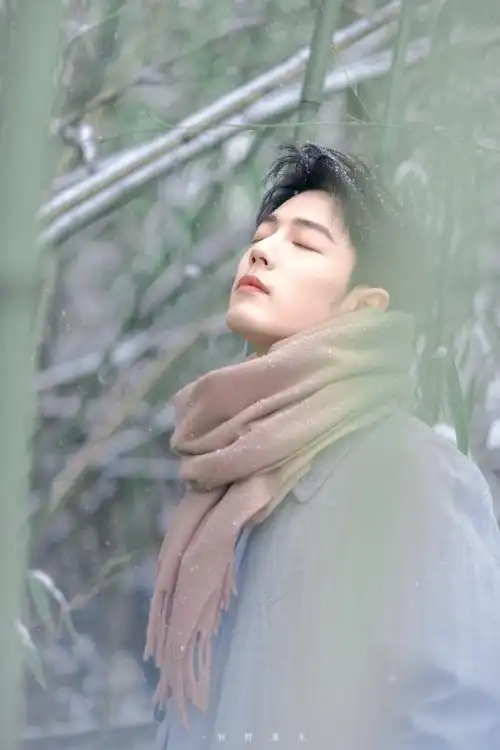 肖战冬至竹林大片##肖战