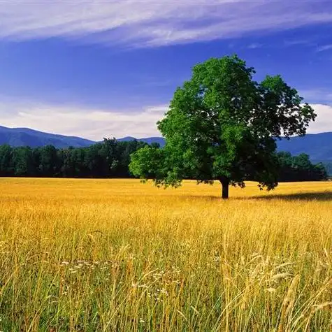 小清新唯美风景头像太美了用了就不想换掉了