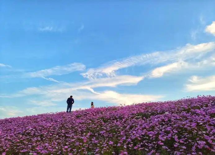 如何在朋友圈发一组赏心悦目的风景照