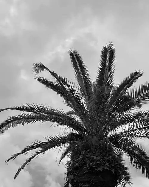 高级感背景图 #朋友圈背景图