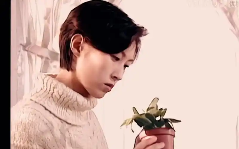 笑看风云里的郭蔼明演绎短发知性的黄蕾,bgm一响,回到港片的黄金年代