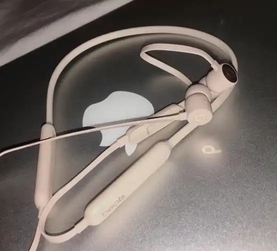 beatsx 丝绸金 包邮走咸鱼