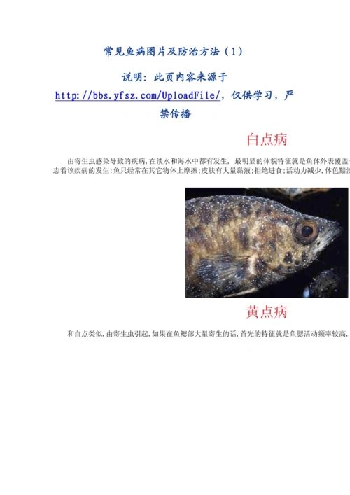 常见鱼病图片及防治方法(1)