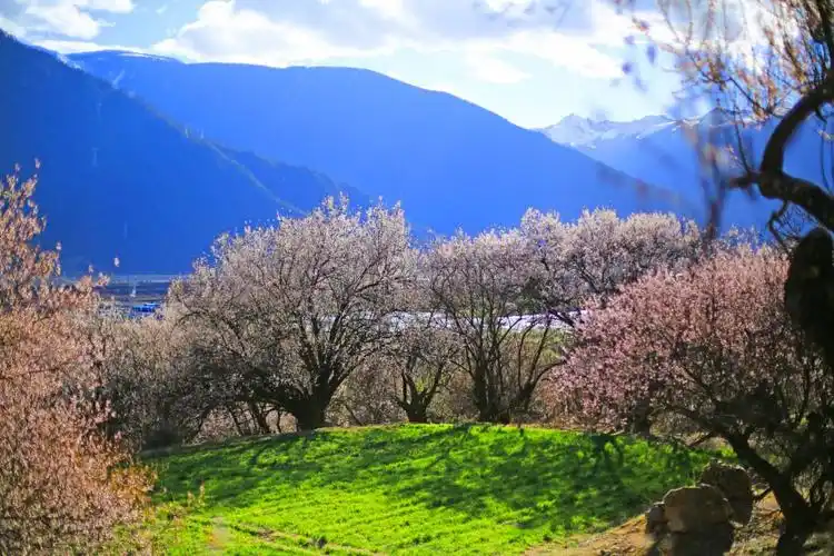 从林芝到然乌,318国道最美风景线