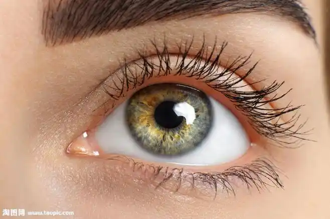 女人的眼球图片