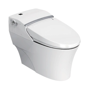 american standard toilet & squat