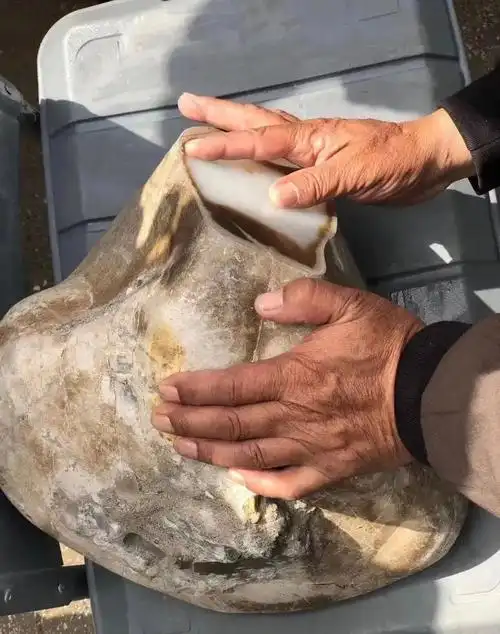 那些其貌不扬的"羊脂玉",第3种最丑,却价值昂贵!