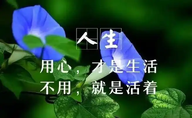 人生感悟最现实的句子(人生感悟最现实的句子简短) - 经典句子 - 经典