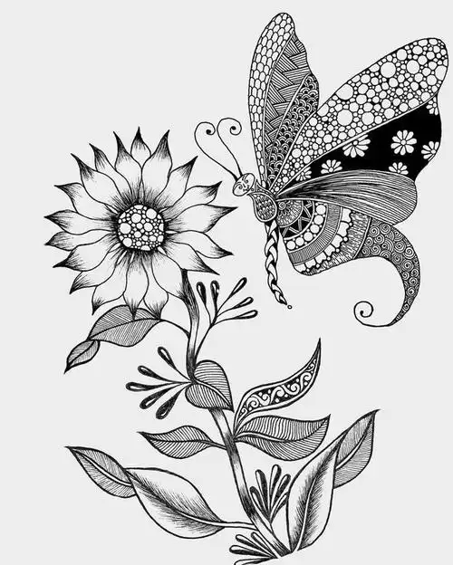 细致的黑白线描画需要针管笔,他每天都能用掉好几支笔!