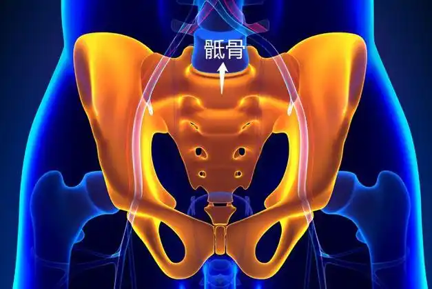 骶骨在哪个位置图片_图文_文章_美咯_让您放心美!