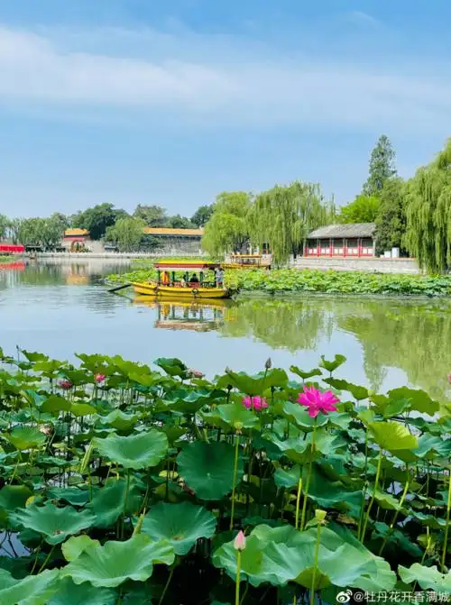 炎炎盛夏,北京最惊艳的时刻即将到来!夏日限定美景,就藏在这儿
