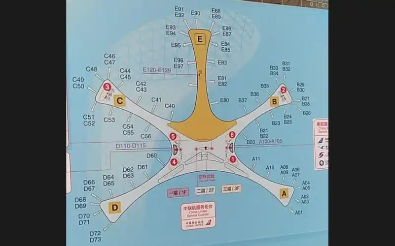 大兴机场剖面图像有五个腕五十个管足的海星美